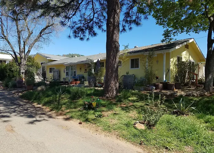 Yosemite Plaisance Bed & Breakfast